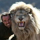 Illustration for article titled How to Cuddle With Lions and Not Die